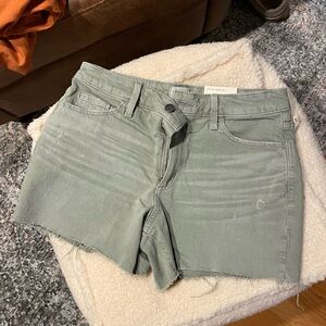 NWT Blue/ green stretchy shorts